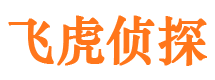 乌达市调查公司